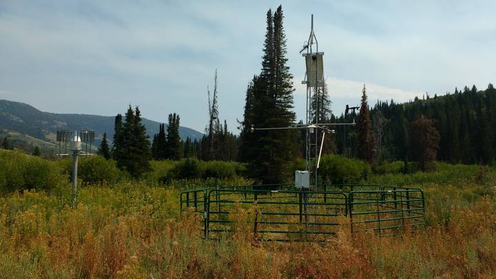 Climate Station at Franklin Basin/Climate_Station_at_Franklin_Basin_Site_5.jpg